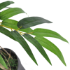 Picture of Artificial Bamboo Plant