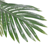 Picture of Artificial Plant Cycas Palm Tree 59"