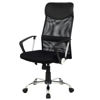 Picture of Executive Office Chair Ergonomic Mesh Modern