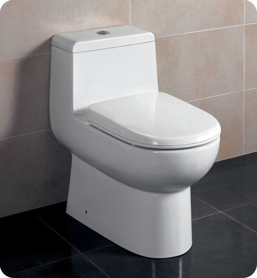 Picture of Fresca Antila One-Piece Dual Flush Toilet w/ Soft Close Seat