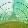 Picture of Outdoor Garden Portable Walk-In Greenhouse