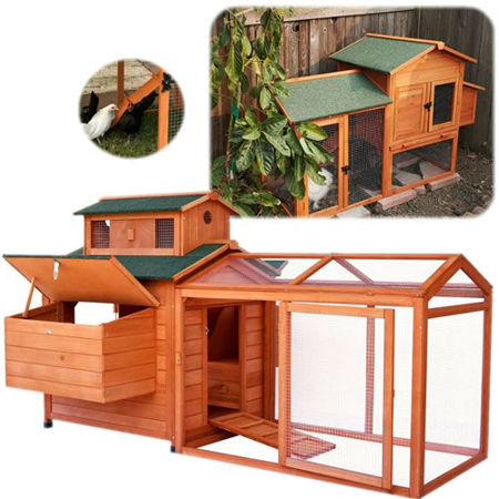 Picture for category COOP / HEN HOUSE