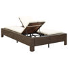 Picture of Outdoor 2-Person Sunbed Brown