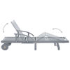 Picture of Outdoor Lounger - Gray