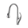 Picture of Kitchen Faucet with Pull Out Sprayer - Brushed Nickel