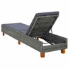 Picture of Outdoor Lounger - Gray