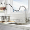 Picture of Kitchen Pull-Out Faucet