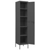 Picture of Steel Locker 14" - Ant