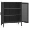 Picture of Steel Office Storage Cabinet 31" - Ant