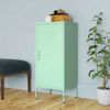 Picture of Steel Storage Cabinet 16" - Mnt