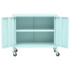 Picture of Steel Storage Cabinet 23" - Mnt