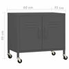 Picture of Steel Storage Cabinet 23" - Ant