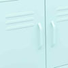 Picture of Steel Storage Cabinet 23" - Mnt