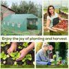Picture of Outdoor Portable Greenhouse 20' x 10' x 7'